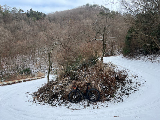 Festive500