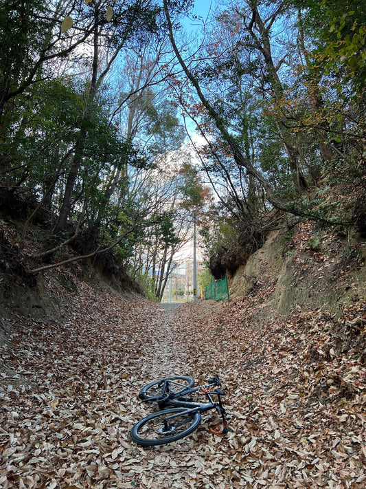 続・鉄のバイクがほしい