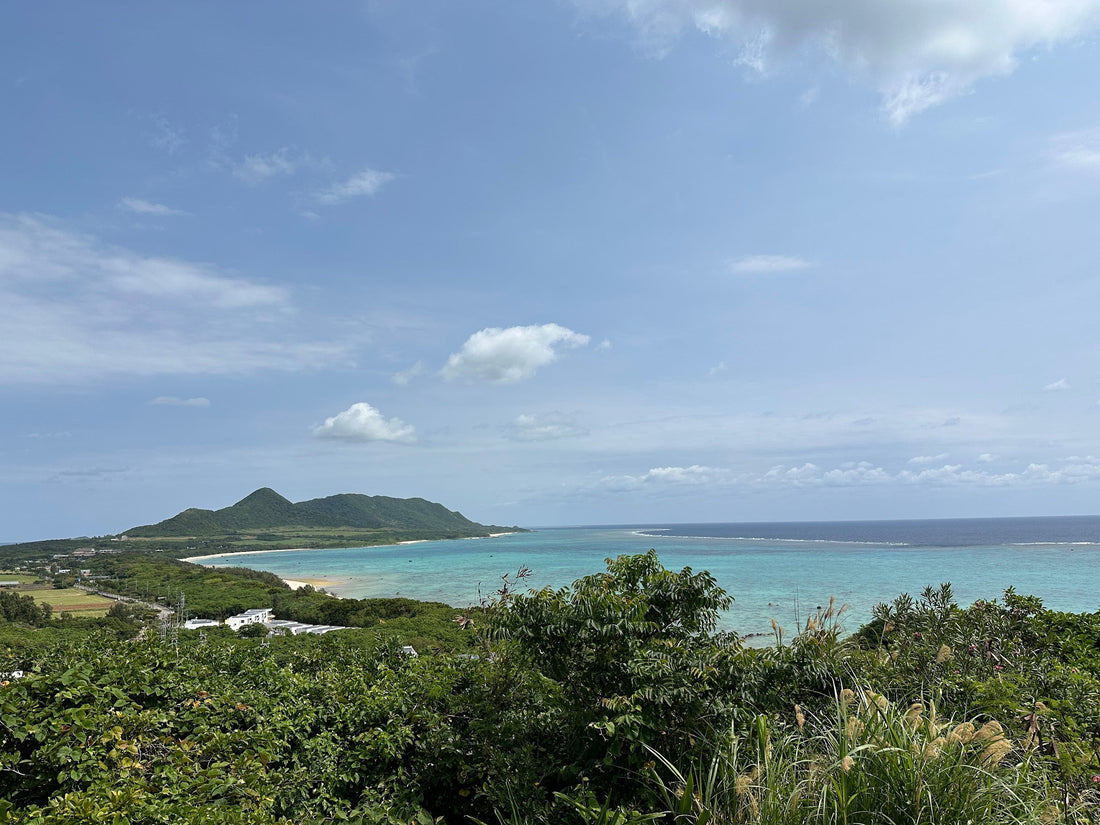 石垣島のエコロード