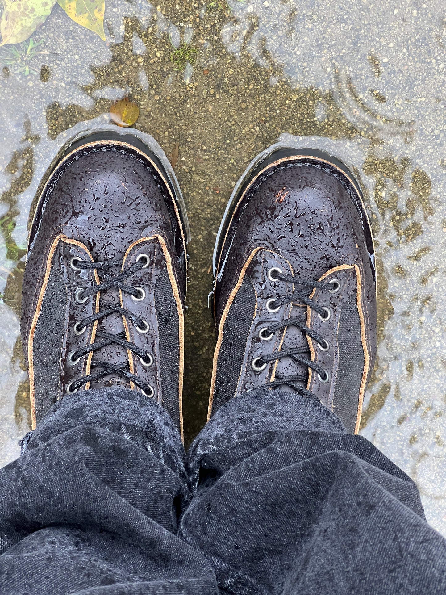 Danner Light Dark Brown 9EE 2017年